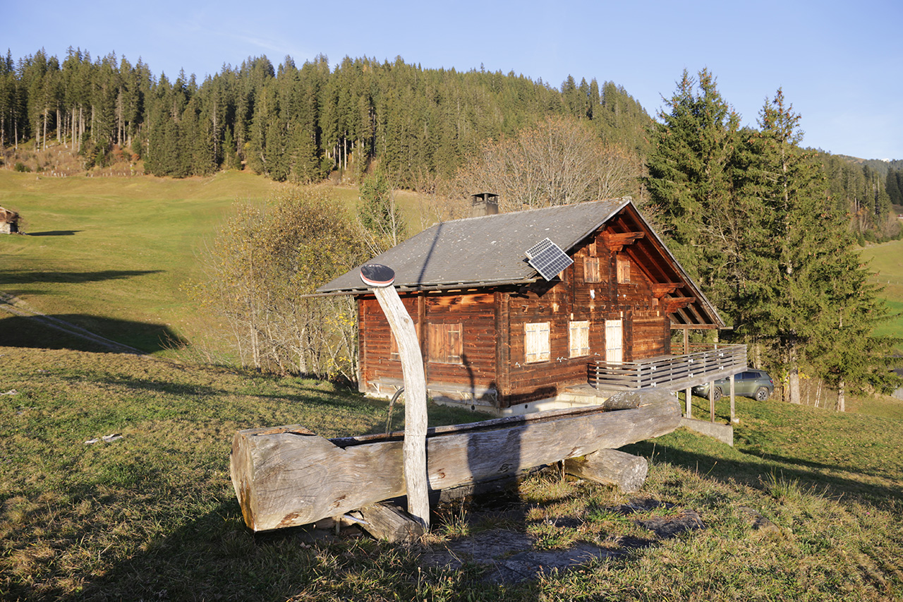 Weiber-Fasnacht-Köln