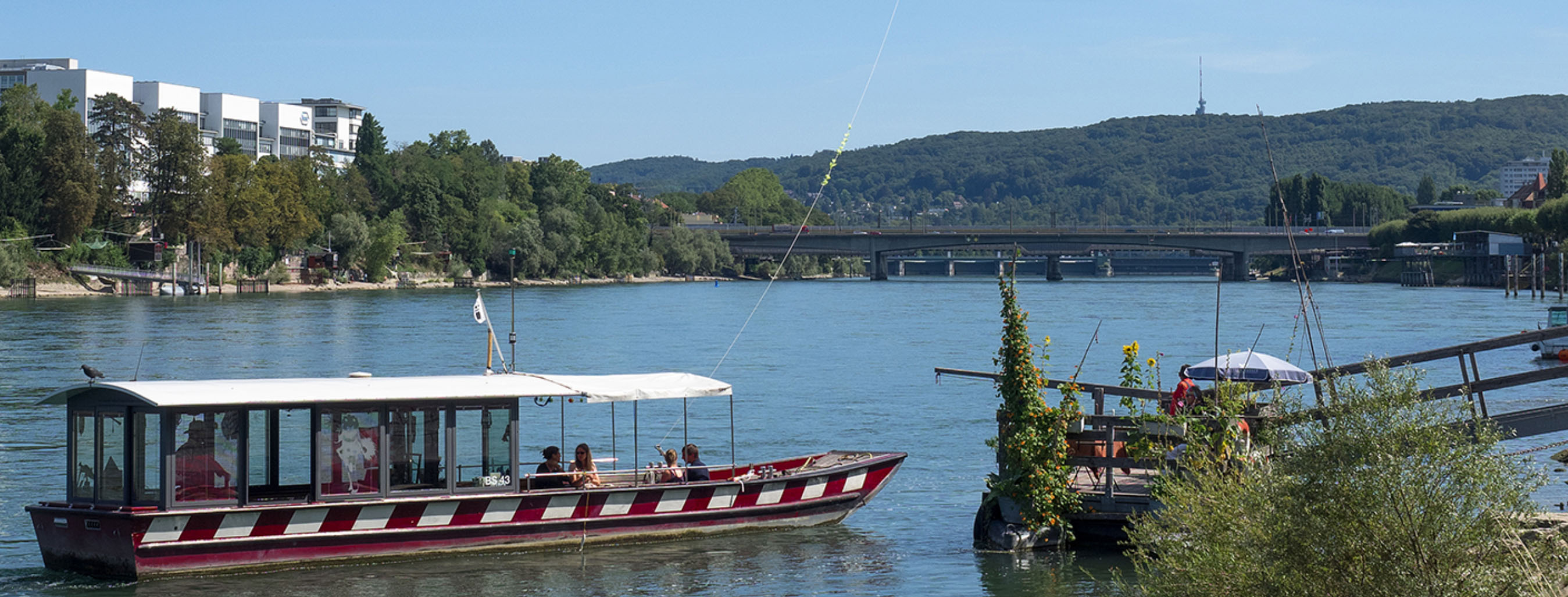 Rheinfaehre St.Alban